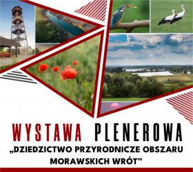 na plakacie: przyroda na zdjęciach